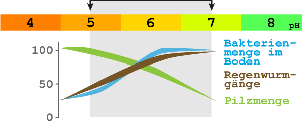 Bodenbiologie und der Boden-pH-Wert - Kreidekalk in der Landwirtschaft